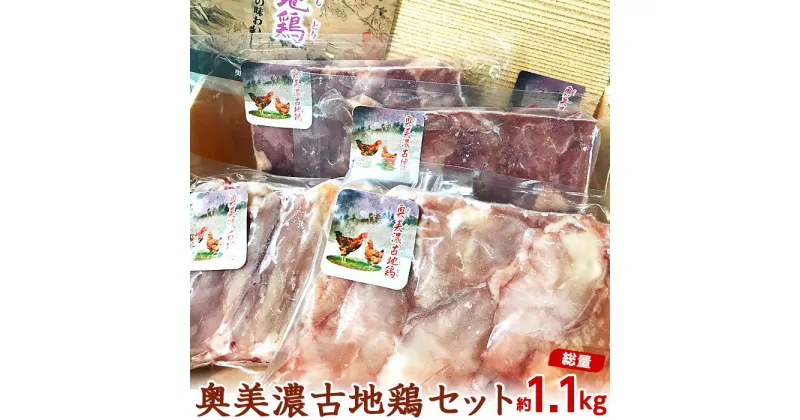 【ふるさと納税】奥美濃古地鶏セット計約1.1kg [No.006] ／ 鶏肉 モモ肉 手羽先 手羽なか 詰合せ 送料無料 岐阜県 特産