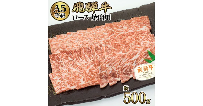 【ふるさと納税】店主こだわり雌牛 飛騨牛A5等級　ロース　焼肉用　約500g [No.038] ／ 牛肉 ブランド牛 やきにく メス牛 冷凍 送料無料 岐阜県 特産