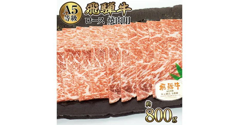 【ふるさと納税】店主こだわり雌牛 飛騨牛A5等級　ロース　焼肉用　約800g [No.065] ／ 牛肉 ブランド牛 やきにく メス牛 冷凍 送料無料 岐阜県 特産