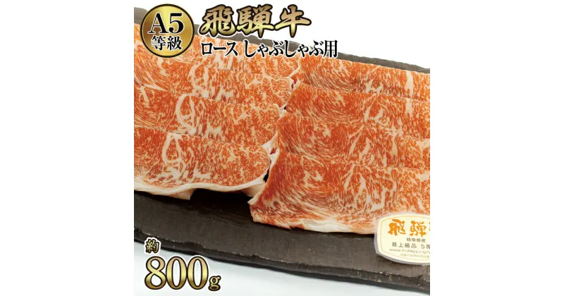 【ふるさと納税】店主こだわり雌牛 飛騨牛A5等級　ロース　しゃぶしゃぶ用　約800g [No.067] ／ 牛肉 ブランド牛 鍋 メス牛 冷凍 送料無料 岐阜県 特産