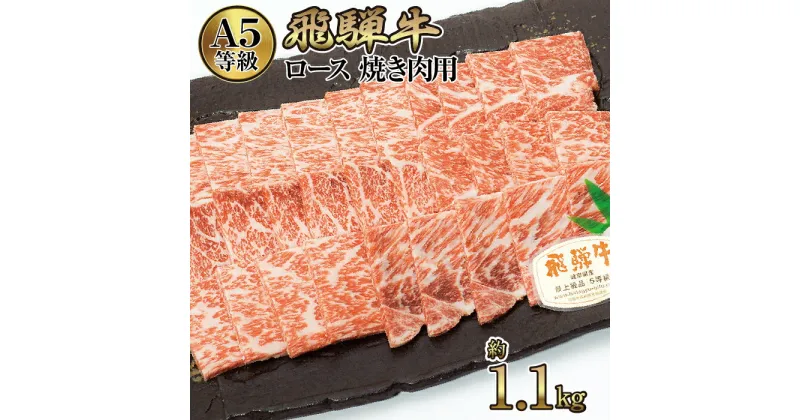 【ふるさと納税】店主こだわり雌牛 飛騨牛A5等級　ロース　焼き肉用　約1.1kg [No.085] ／ 牛肉 ブランド牛 やきにく 焼肉 メス牛 冷凍 送料無料 岐阜県 特産