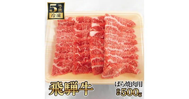 【ふるさと納税】飛騨牛バラ焼き肉用　計約500g（5等級／冷凍） [No.126] ／ 牛肉 ブランド牛 ばら 焼肉 やきにく 送料無料 岐阜県 特産