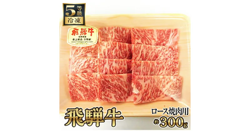 【ふるさと納税】飛騨牛ロース焼肉用 約300g（5等級/冷凍） [No.214] ／ ブランド牛 牛肉 BBQ 送料無料 岐阜県 特産品