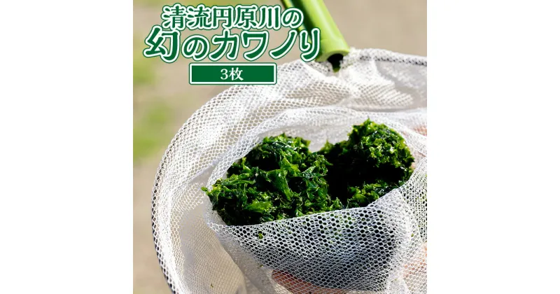 【ふるさと納税】清流円原川の幻のカワノリ【3枚】 [No.498] ／ 海苔 天然 送料無料 岐阜県