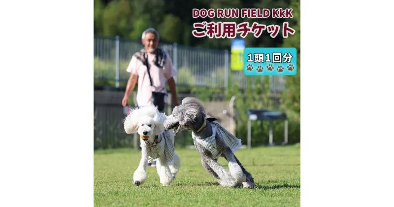 【ふるさと納税】DOG RUN FIELD KkK　ご利用チケット [No.909] ／ ドッグ 犬 ドッグラン 券 送料無料 岐阜県