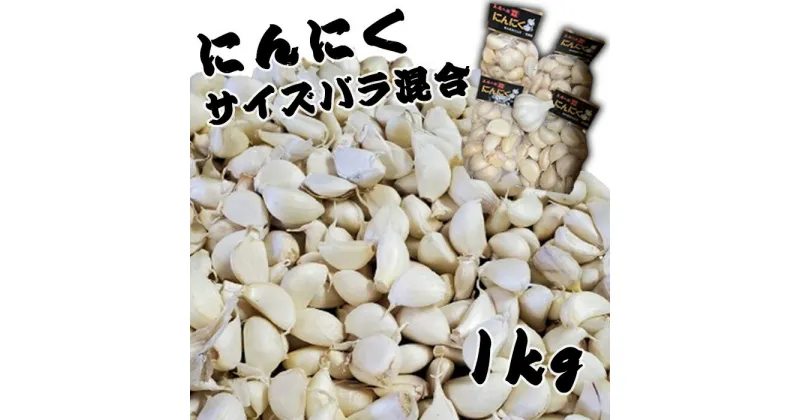 【ふるさと納税】にんにく [No.955] ／ ニンニク 山県市産 野菜 バラバラ 送料無料 岐阜県