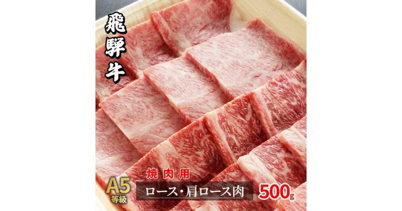 【ふるさと納税】牛肉 飛騨牛 焼き肉 セット ロース 又は 肩ロース 500g 黒毛和牛 A5 美味しい お肉 牛 肉 和牛 焼肉 BBQ バーベキュー 【岐阜県瑞穂市】　牛肉