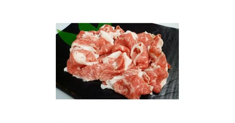 【ふるさと納税】飛騨牛切り落とし　1kg　牛肉 スライス肉　お届け：2週間～1か月程度でお届け予定です。