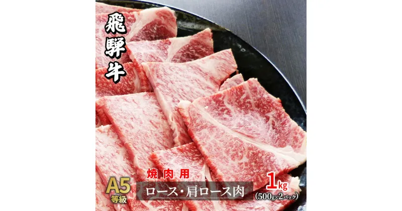 【ふるさと納税】牛肉 飛騨牛 焼き肉 セット ロース 又は 肩ロース 1kg 黒毛和牛 A5 美味しい お肉 牛 肉 和牛 焼肉 BBQ バーベキュー 【岐阜県瑞穂市】　ロース お肉 牛肉 焼肉 バーベキュー