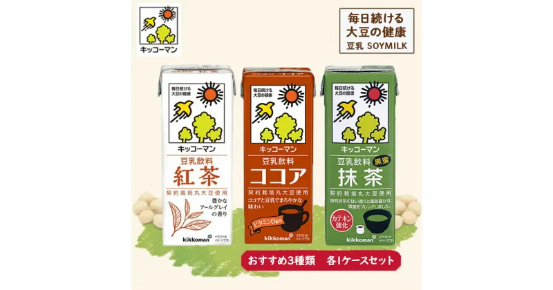 【ふるさと納税】キッコーマン おすすめ3種類 200ml 54本セット 各1ケース3種類セット　乳飲料 ドリンク 加工食品 大豆 豆類　お届け：2週間～1か月程度でお届け予定です。