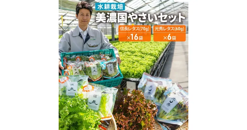 【ふるさと納税】美濃国やさいセット 野菜 野菜セット レタス フリルレタス 水耕栽培 安全 安心 衛生的 新鮮 シャキシャキ 産地直送 サラダ サンドイッチ　野菜 セット 詰合せ