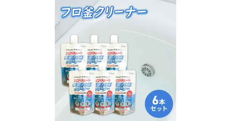 【ふるさと納税】エコキュートフロ釜クリーナー（ガスフロ釜にも推奨）6本セット　 消耗品 1個250ml×6 フロ釜用 合成洗剤 協力除菌 1つ穴専用 フロ掃除 　お届け：2週間～1か月程度でお届け予定です。