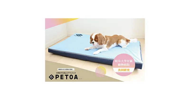 【ふるさと納税】【ペット用品 犬】犬用床ずれ防止エアマット PETOA-ペトア- (小型犬用) ブルー 寝たきりのワンちゃん向け　 動物 家族 高齢化 医療介護 本格的 低反発 マット 安心 安全