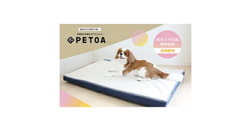 【ふるさと納税】【ペット用品 犬】犬用床ずれ防止エアマット PETOA-ペトア- (小型犬用) ベージュ 活動的なワンちゃん向け　 動物 家族 高齢化 医療介護 本格的 低反発 マット 安心 安全