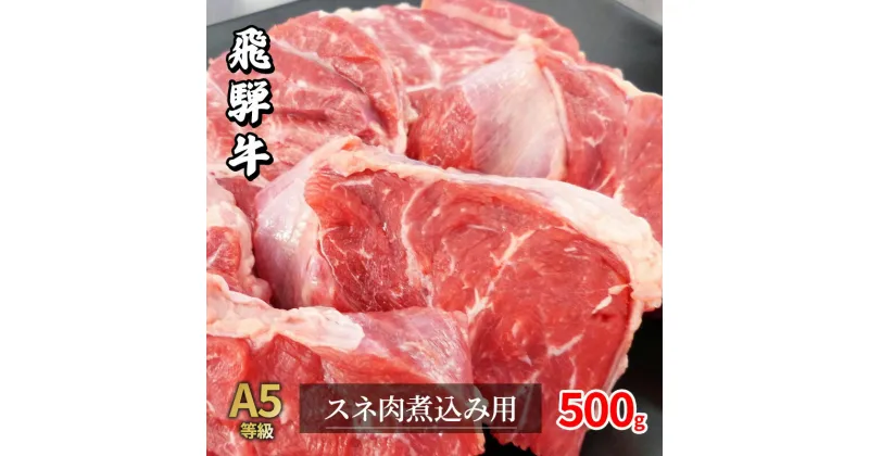 【ふるさと納税】牛肉 飛騨牛 スネ肉 500g 黒毛和牛 A5 美味しい お肉 牛 肉 和牛 カレー シチュー 煮込み 【岐阜県瑞穂市】　 瑞穂市