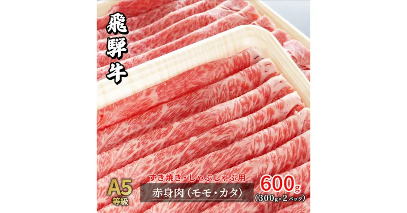 【ふるさと納税】牛肉 飛騨牛 すき焼き しゃぶしゃぶ セット 赤身 モモ 又は カタ 600g 黒毛和牛 A5 美味しい お肉 牛 肉 和牛 すき焼き肉 すきやき すき焼肉 しゃぶしゃぶ肉 【岐阜県瑞穂市】　 瑞穂市