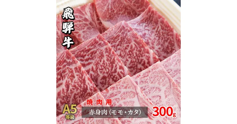 【ふるさと納税】牛肉 飛騨牛 焼き肉 セット 赤身 モモ 又は カタ 300g 黒毛和牛 A5 美味しい お肉 牛 肉 和牛 焼肉 BBQ バーベキュー 【岐阜県瑞穂市】　 瑞穂市