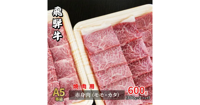 【ふるさと納税】牛肉 飛騨牛 焼き肉 セット 赤身 モモ 又は カタ 600g 黒毛和牛 A5 美味しい お肉 牛 肉 和牛 焼肉 BBQ バーベキュー 【岐阜県瑞穂市】　 瑞穂市