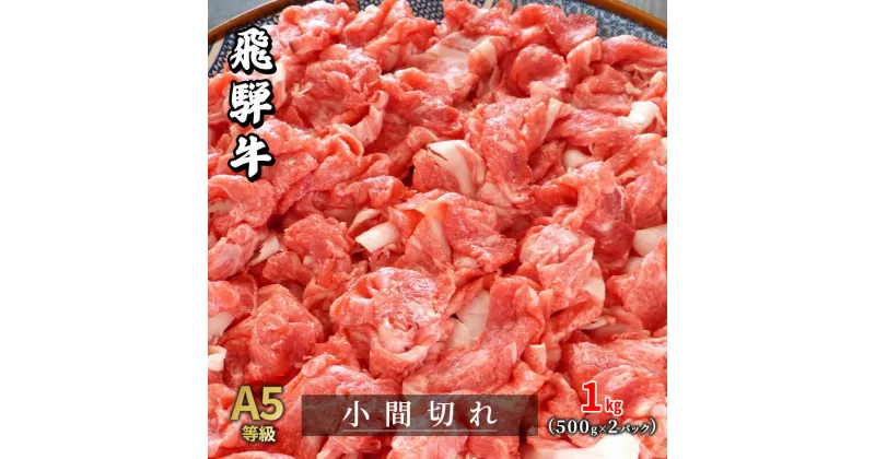 【ふるさと納税】牛肉 飛騨牛 小間切れ 1kg 黒毛和牛 A5 美味しい お肉 牛 肉 和牛 肉じゃが 牛丼 【岐阜県瑞穂市】　 瑞穂市