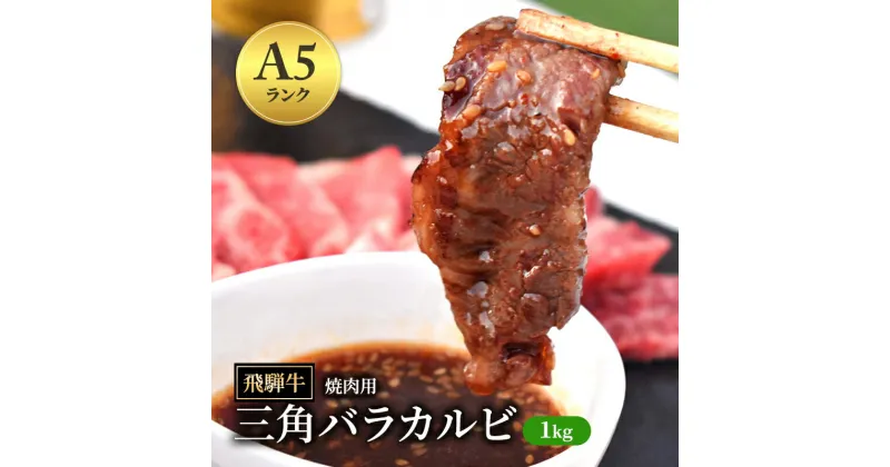 【ふるさと納税】飛騨牛 三角バラカルビ 焼肉 1kg A5 希少部位 和牛 牛肉 お肉 カルビ 焼肉用 【岐阜県瑞穂市】