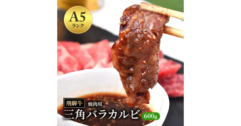 【ふるさと納税】飛騨牛 三角バラカルビ 焼肉 600g A5 希少部位 和牛 牛肉 お肉 カルビ 焼肉用 【岐阜県瑞穂市】