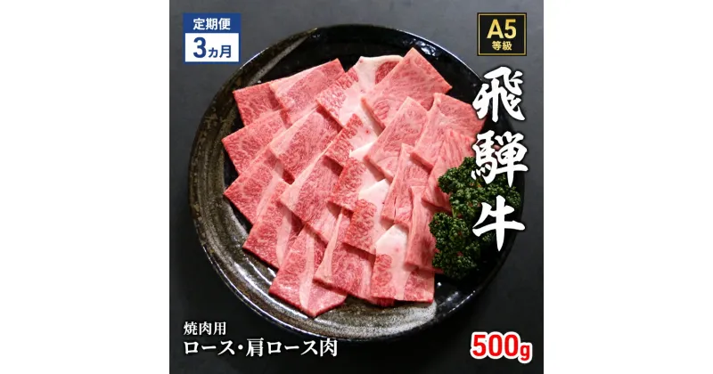 【ふるさと納税】【定期便3ヶ月】牛肉 飛騨牛 焼き肉 セット ロース 又は 肩ロース 500g 黒毛和牛 A5 美味しい お肉 牛 肉 和牛 焼肉 BBQ バーベキュー 【岐阜県瑞穂市】　定期便