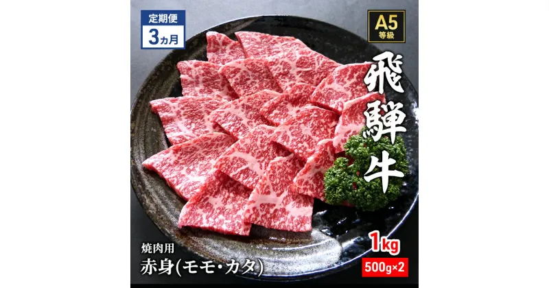 【ふるさと納税】【定期便3ヶ月】牛肉 飛騨牛 焼き肉 セット 赤身 モモ 又は カタ 1kg 黒毛和牛 A5 美味しい お肉 牛 肉 和牛 焼肉 BBQ バーベキュー 【岐阜県瑞穂市】　定期便