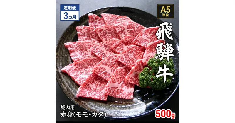 【ふるさと納税】【定期便3ヶ月】牛肉 飛騨牛 焼き肉 セット 赤身 モモ 又は カタ 500g 黒毛和牛 A5 美味しい お肉 牛 肉 和牛 焼肉 BBQ バーベキュー 【岐阜県瑞穂市】　定期便