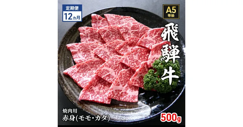 【ふるさと納税】【定期便12ヶ月】牛肉 飛騨牛 焼き肉 セット 赤身 モモ 又は カタ 500g 黒毛和牛 A5 美味しい お肉 牛 肉 和牛 焼肉 BBQ バーベキュー 【岐阜県瑞穂市】　定期便