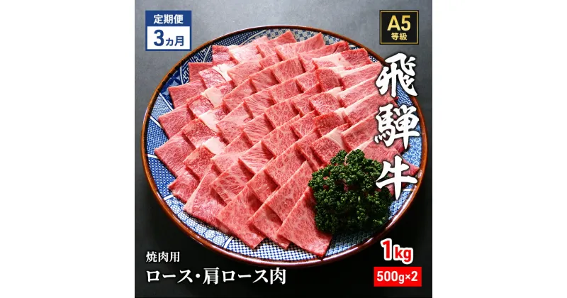 【ふるさと納税】【定期便3ヶ月】牛肉 飛騨牛 焼き肉 セット ロース 又は 肩ロース 1kg 黒毛和牛 A5 美味しい お肉 牛 肉 和牛 焼肉 BBQ バーベキュー 【岐阜県瑞穂市】　定期便