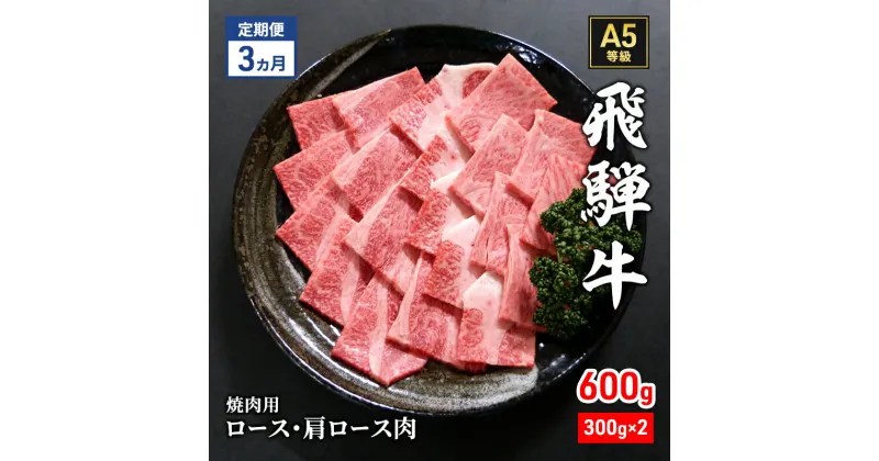 【ふるさと納税】【定期便3ヶ月】牛肉 飛騨牛 焼き肉 セット ロース 又は 肩ロース 600g 黒毛和牛 A5 美味しい お肉 牛 肉 和牛 焼肉 BBQ バーベキュー 【岐阜県瑞穂市】　定期便