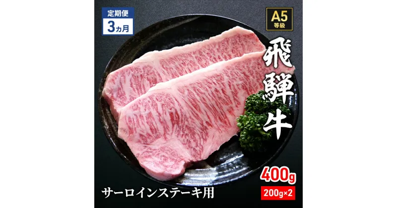 【ふるさと納税】【定期便3ヶ月】牛肉 飛騨牛 サーロイン ステーキ セット 400g（1枚 約200g×2枚） 黒毛和牛 A5 美味しい お肉 牛 肉 和牛 サーロインステーキ 【岐阜県瑞穂市】　定期便