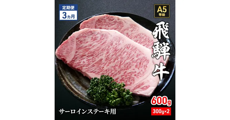 【ふるさと納税】【定期便3ヶ月】牛肉 飛騨牛 サーロイン ステーキ セット 600g（1枚 約300g×2枚） 黒毛和牛 A5 美味しい お肉 牛 肉 和牛 サーロインステーキ 【岐阜県瑞穂市】　定期便