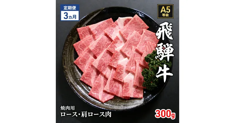 【ふるさと納税】【定期便3ヶ月】牛肉 飛騨牛 焼き肉 セット ロース 又は 肩ロース 300g 黒毛和牛 A5 美味しい お肉 牛 肉 和牛 焼肉 BBQ バーベキュー 【岐阜県瑞穂市】　定期便