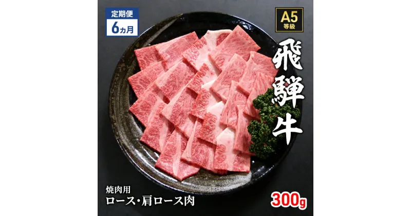 【ふるさと納税】【定期便6ヶ月】牛肉 飛騨牛 焼き肉 セット ロース 又は 肩ロース 300g 黒毛和牛 A5 美味しい お肉 牛 肉 和牛 焼肉 BBQ バーベキュー 【岐阜県瑞穂市】　定期便