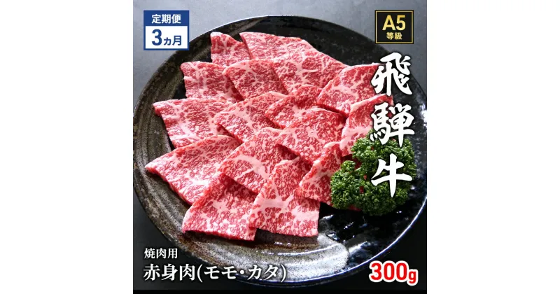 【ふるさと納税】【定期便3ヶ月】牛肉 飛騨牛 焼き肉 セット 赤身 モモ 又は カタ 300g 黒毛和牛 A5 美味しい お肉 牛 肉 和牛 焼肉 BBQ バーベキュー 【岐阜県瑞穂市】　定期便