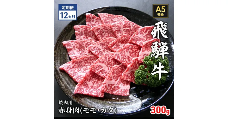 【ふるさと納税】【定期便12ヶ月】牛肉 飛騨牛 焼き肉 セット 赤身 モモ 又は カタ 300g 黒毛和牛 A5 美味しい お肉 牛 肉 和牛 焼肉 BBQ バーベキュー 【岐阜県瑞穂市】　定期便