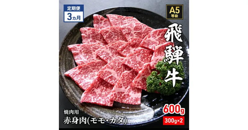 【ふるさと納税】【定期便3ヶ月】牛肉 飛騨牛 焼き肉 セット 赤身 モモ 又は カタ 600g 黒毛和牛 A5 美味しい お肉 牛 肉 和牛 焼肉 BBQ バーベキュー 【岐阜県瑞穂市】　定期便