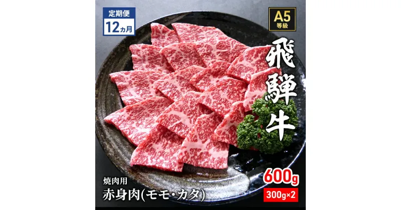 【ふるさと納税】【定期便12ヶ月】牛肉 飛騨牛 焼き肉 セット 赤身 モモ 又は カタ 600g 黒毛和牛 A5 美味しい お肉 牛 肉 和牛 焼肉 BBQ バーベキュー 【岐阜県瑞穂市】　定期便