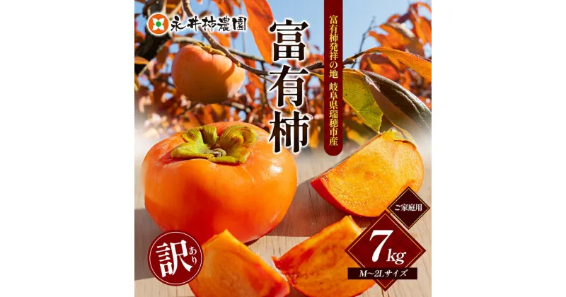 【ふるさと納税】【 訳アリ 】 ご家庭用 富有柿 M～2Lサイズ 7kg　柿 果物 フルーツ 秋の味覚 訳あり わけあり 規格外 家庭用 自宅用 お取り寄せ 栄養 タンニン 岐阜県 瑞穂市　お届け：11月中旬から12月上旬にお届けします。