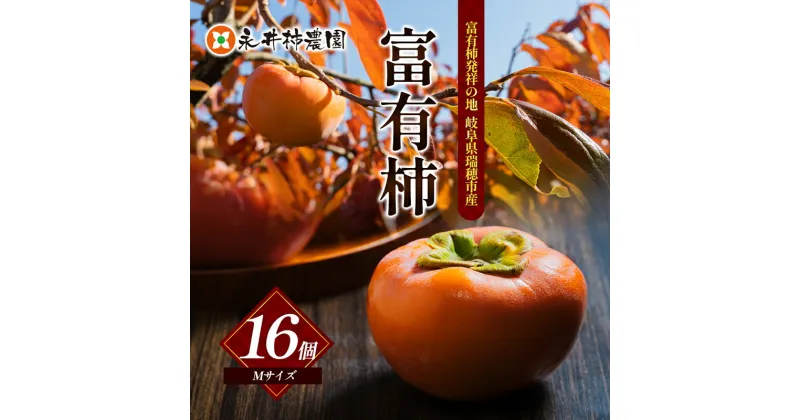 【ふるさと納税】富有柿 Mサイズ 16個入　柿 果物 フルーツ 秋の味覚 お取り寄せ ギフト 栄養 タンニン 岐阜県 瑞穂市　お届け：11月中旬から12月上旬にお届けします。