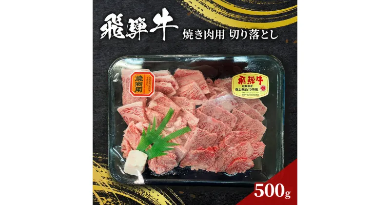 【ふるさと納税】訳あり 飛騨牛 焼き肉用 切り落とし 500g 牛 牛肉 焼肉 BBQ バーベキュー 切り落とし　お届け：12月中旬～1月初旬のお申込は1月中旬以降の順次出荷になる