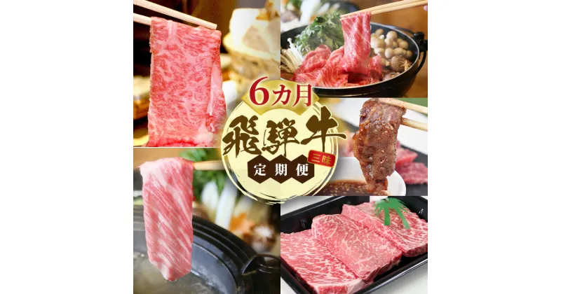 【ふるさと納税】飛騨牛 A5 大満足 飛騨牛三昧 6か月 定期便 ステーキ すき焼き 焼肉　定期便　お届け：12月中旬～1月初旬のお申込は1月中旬以降の順次出荷になる