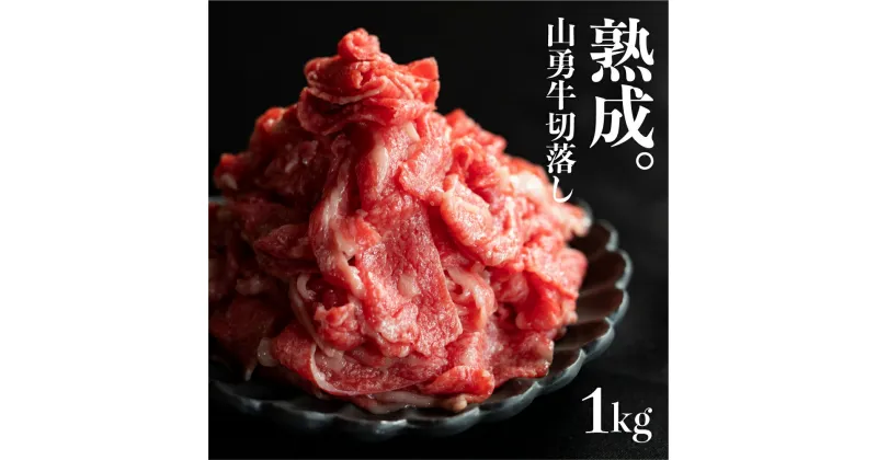 【ふるさと納税】《数量限定!!》【訳あり】飛騨牛 切り落とし 1kg 山勇牛 小間切れ こまぎれ 切落し 訳アリ わけあり ワケアリ 不揃い 牛 肉 牛肉 国産牛 黒毛和牛 牛丼 焼肉 冷蔵 2024年 時間指定［Q2295xch］20000円