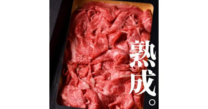 【ふるさと納税】《数量限定》飛騨牛 切り落とし 飛騨の牧場で育った熟成飛騨牛 『山勇牛』切落し 600g 訳あり 訳アリ わけあり ワケアリ 不揃い 肉 熨斗掛け［D0027］