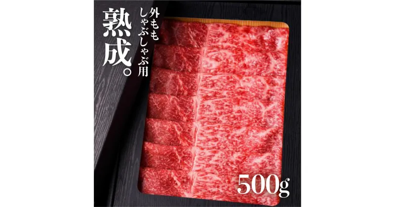 【ふるさと納税】飛騨牛 熟成肉 外もも しゃぶしゃぶ 用 500g A4 A5 飛騨牛 飛騨の牧場で育った熟成飛騨牛『山勇牛』 牛肉 和牛 肉 熨斗掛け［E0017］40000円