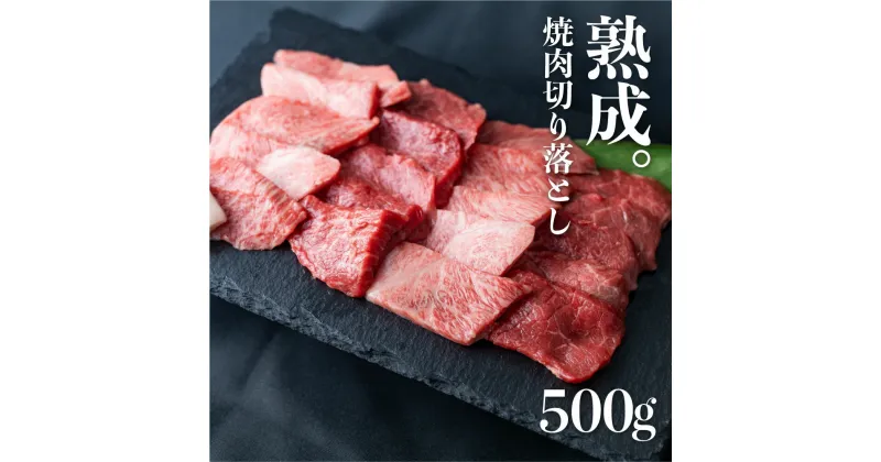 【ふるさと納税】飛騨の牧場で育った熟成飛騨牛『山勇牛』焼肉 切り落とし 500g A4 A5 切落し 訳あり 訳アリ わけあり ワケアリ 不揃い ミックス 牛肉 肉 和牛 国産 希少部位入り 飛騨牛 訳あり 岐阜県飛騨市 ［D0025］