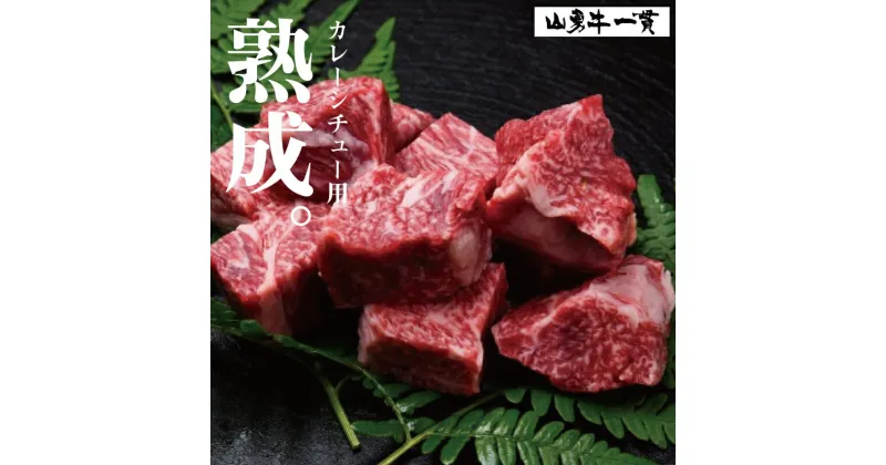 【ふるさと納税】飛騨牛 『山勇牛』すね肉等 カレーシチュー用 600g 角切り牛肉　30日以上熟成/A4・A5ランク飛騨牛 熟成肉 牛肉 和牛 肉 カレー用　シチュー用　角切り　煮込み用［B0061］