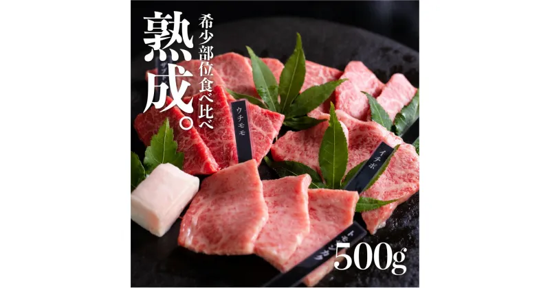 【ふるさと納税】飛騨牛 飛騨の牧場で育った熟成飛騨牛『山勇牛』 焼肉用 おまかせ5種盛合せ 計 500g 30日以上熟成/A4 A5 飛騨牛 熟成肉 和牛 牛肉 肉 国産 熨斗掛け［F0018］50000円 5万円