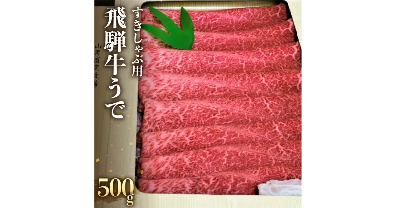 【ふるさと納税】飛騨牛 うで スライス すき焼き しゃぶしゃぶ用 日時指定可 500g すきやき 牛肉 和牛 黒毛和牛 肉 国産 ギフト 贈り物 すきやき スキヤキ 赤身［Q112］